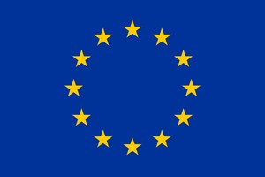logo elezioni 2024