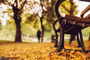 foto panchina dal sito compagnia