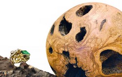 immagine florart 2011