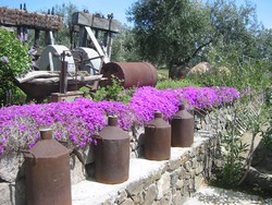 foto giardino ermanno casasco